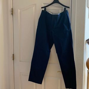 Men’s Express Navy Blue Pants